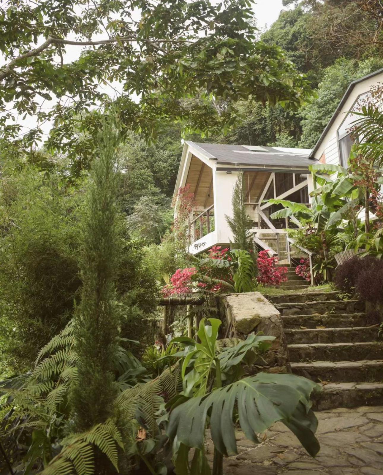 Minca Casa Las Nubes - Un Refugio Natural En La Sierra Nevada, Santa Marta, Col Zewnętrze zdjęcie